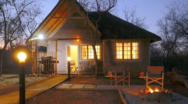 Tusk Bush Lodge & Photographic Safaris