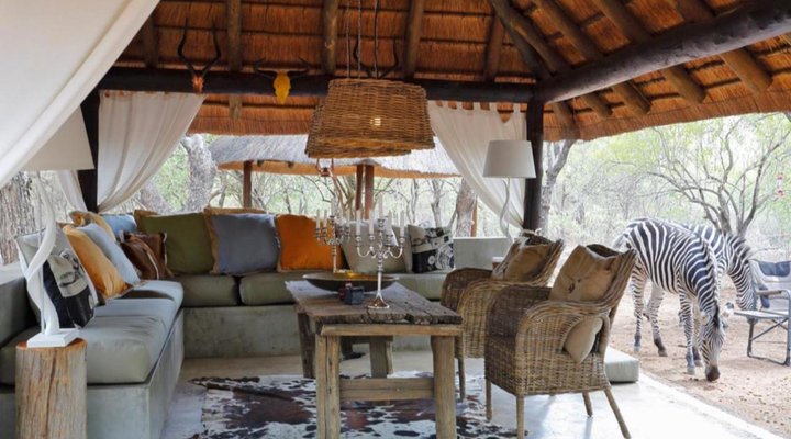 Tusk Bush Lodge & Photographic Safaris