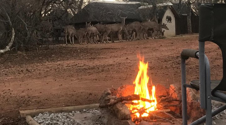 Tusk Bush Lodge & Photographic Safaris