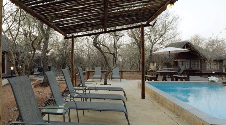 Tusk Bush Lodge & Photographic Safaris
