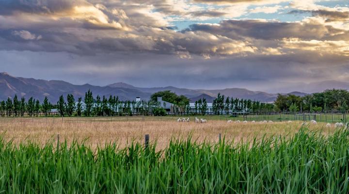 Galloway Guest House