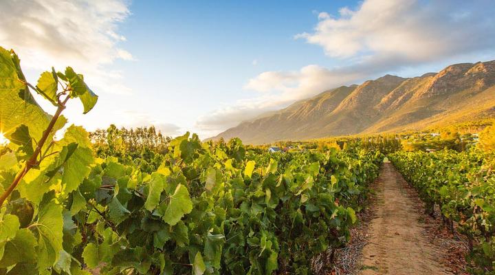 Klein Nektar Cottage - Self-Catering