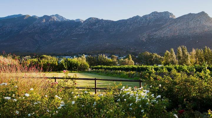 Klein Nektar Cottage - Self-Catering