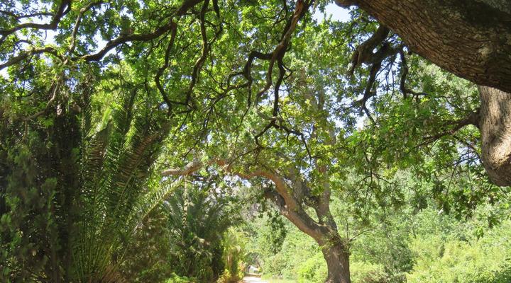 Modderkloof Farm Accommodation