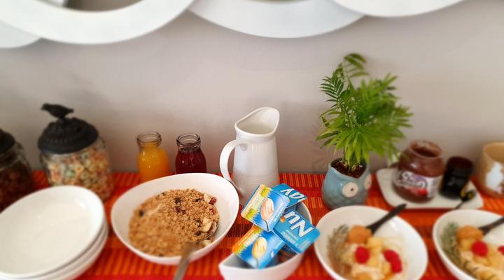 Two Fat Owls Guesthouse