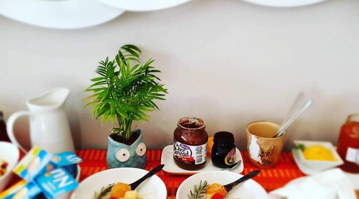 Two Fat Owls Guesthouse