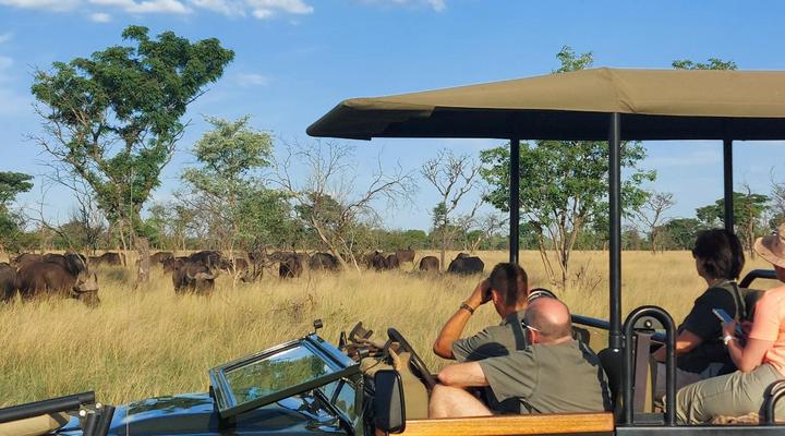 Kaingo Game Reserve