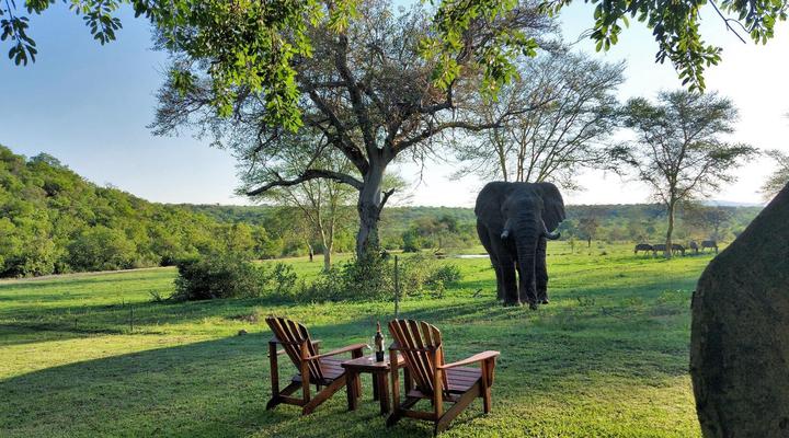 Kaingo Game Reserve