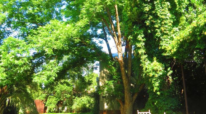 Huys Ten Bosch Guesthouse