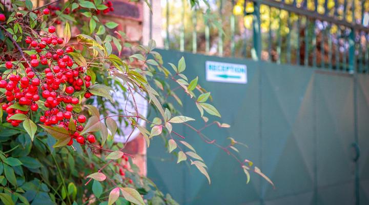 Huys Ten Bosch Guesthouse