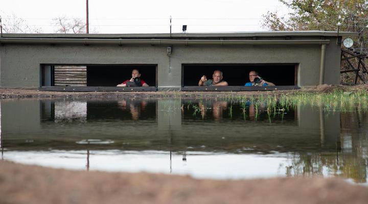 Antares Bush Camp & Safaris