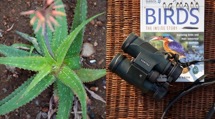 Antares Bush Camp & Safaris