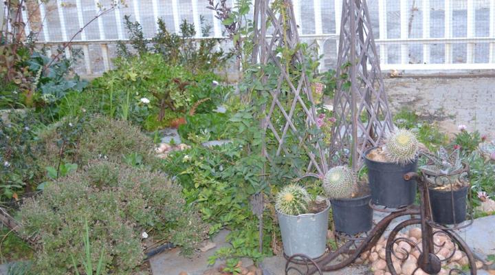 The Lighthouse Guesthouse