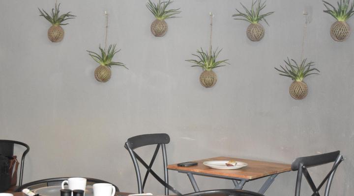 Quiver Inn Guesthouse