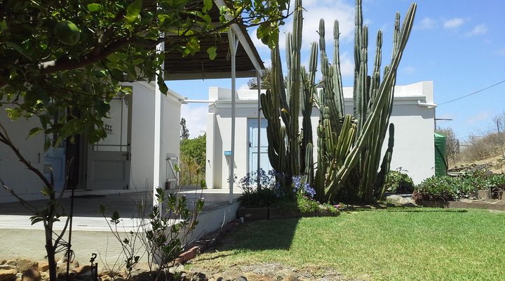 Vineyard Cottage Darling