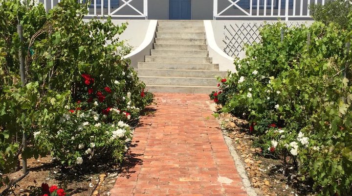 Vineyard Cottage Darling