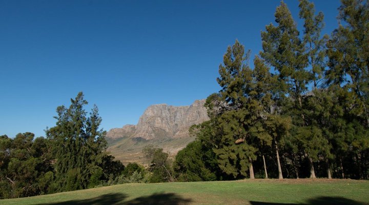 Vuurberg Property