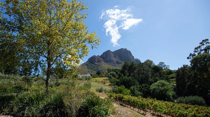 Vuurberg Property
