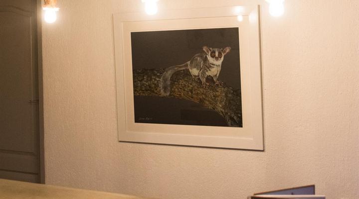 Bushbaby River Lodge