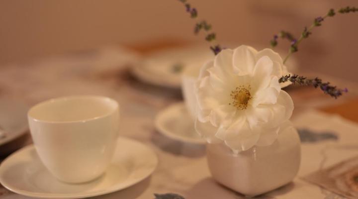 Wolwedans Guest Manor