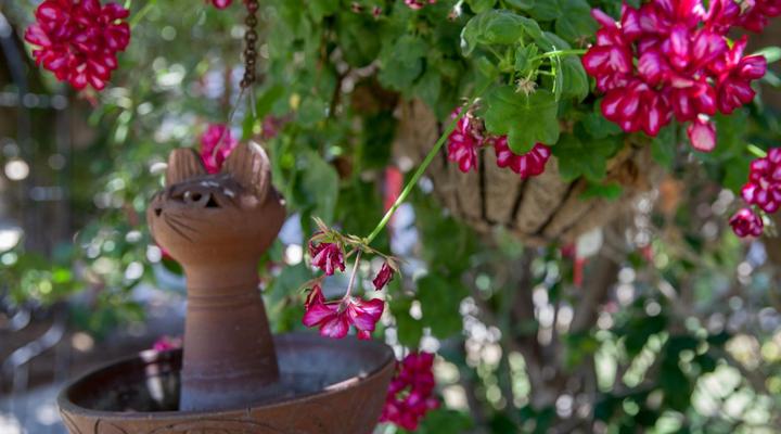 Buschtrommel Accommodation