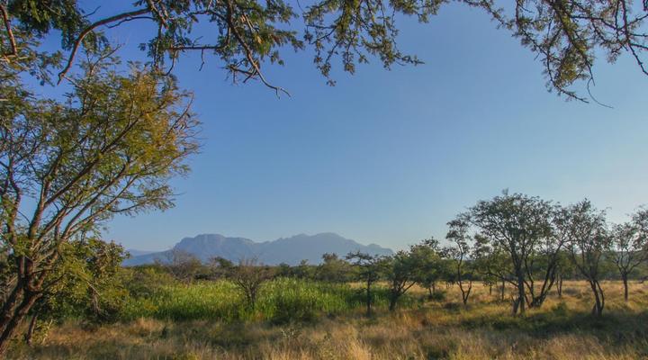 Nyumbani Estate Bush Lodge