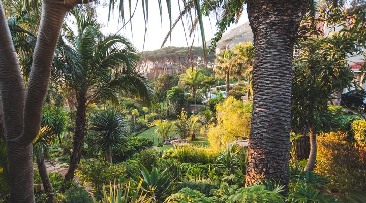 Villa Palma Camps Bay