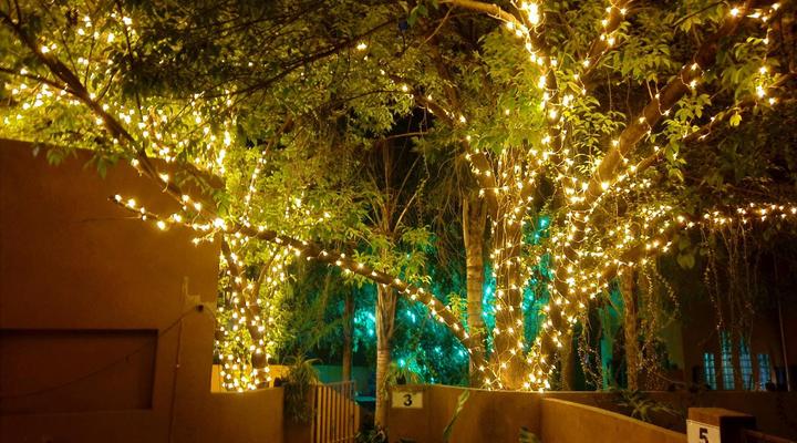 Dalen's Luxury Apartments