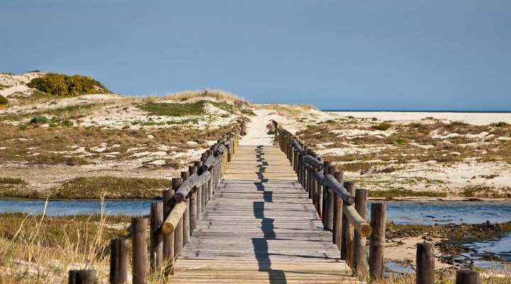 Little Haven 17