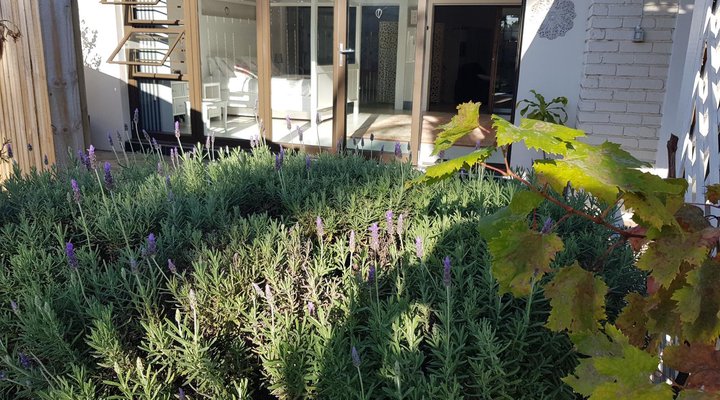 Spacious Garden Unit on Fordyce