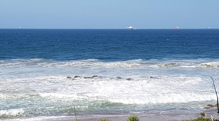 Dolphin Coast Guest House