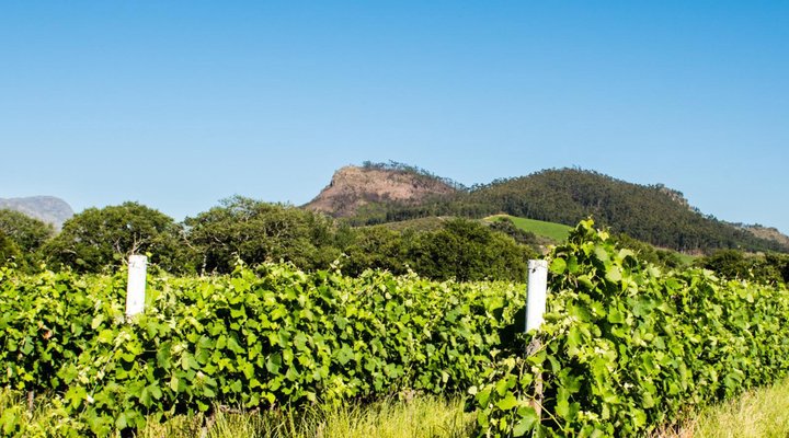 Franschhoek Farm Cottages