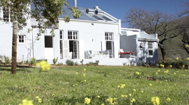 Die Laaitjie