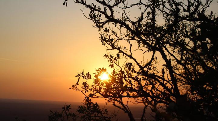 Wildnut Lodge and Game Farm