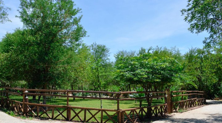 Beyond the Boma