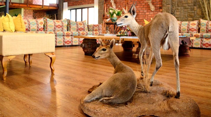 Wolwedans Game Farm