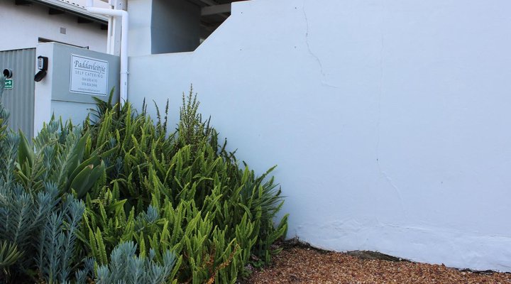 Paddavleitjie Self Catering