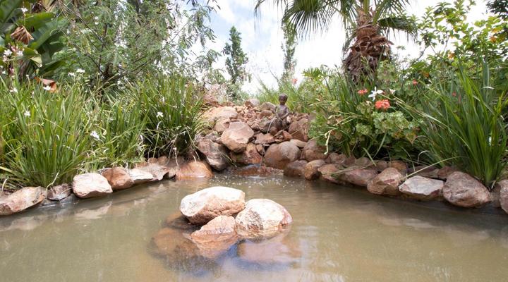 Green Olive Guesthouse