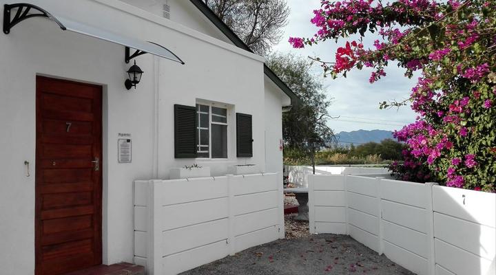 Green Olive Guesthouse