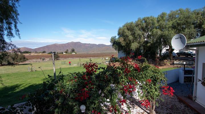 Green Olive Guesthouse