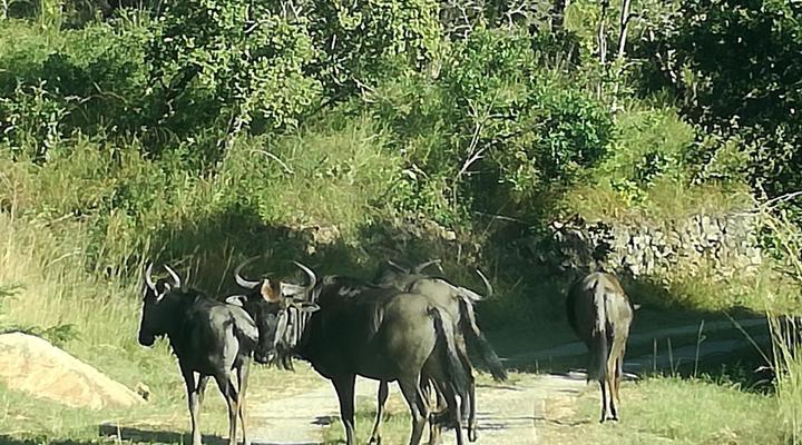 @Nature Luxury Self catering Cottages