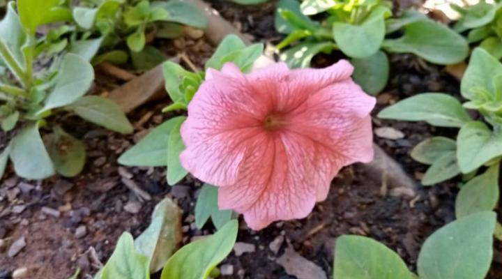 PMG Hardware T/A Wisteria Lane Guest House