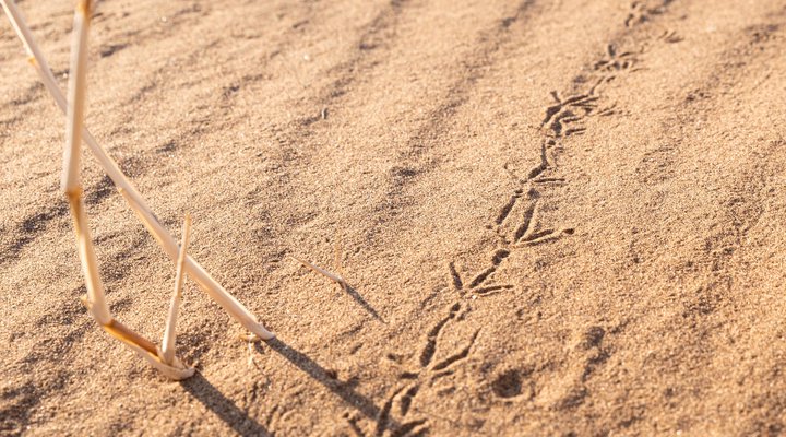 Duin in die Weg Guest Farm