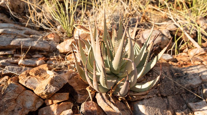 Duin in die Weg Guest Farm