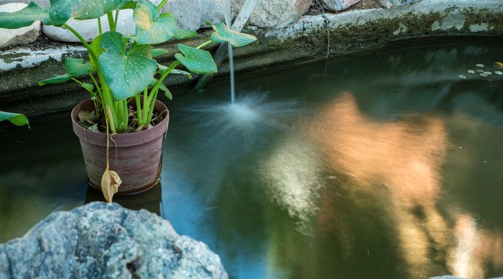 Duin in die Weg Guest Farm