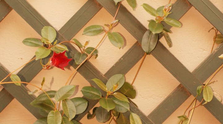 Versailles Self-Catering