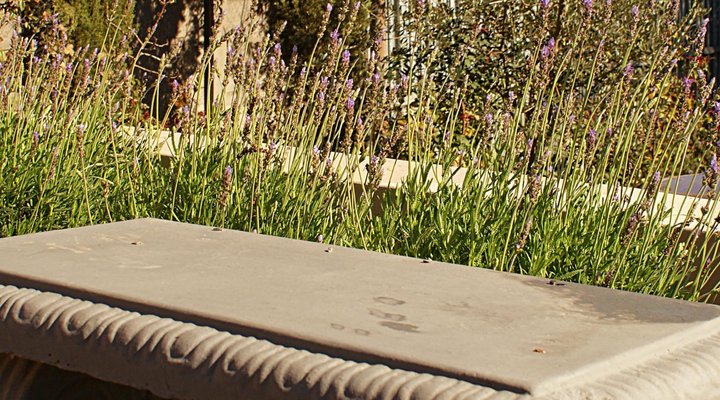 Versailles Self-Catering