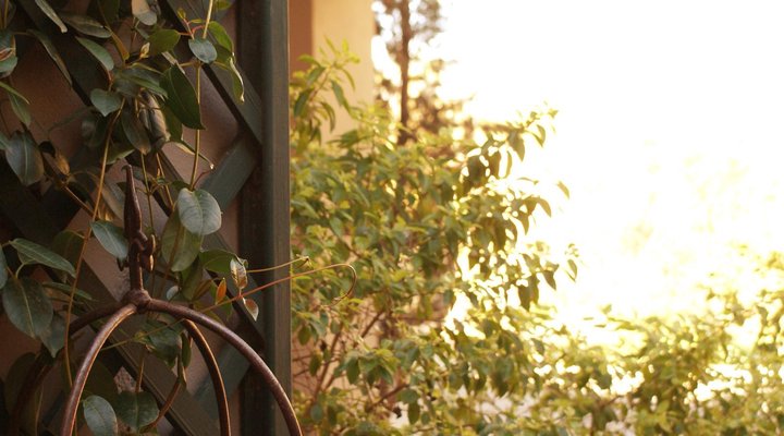 Versailles Self-Catering