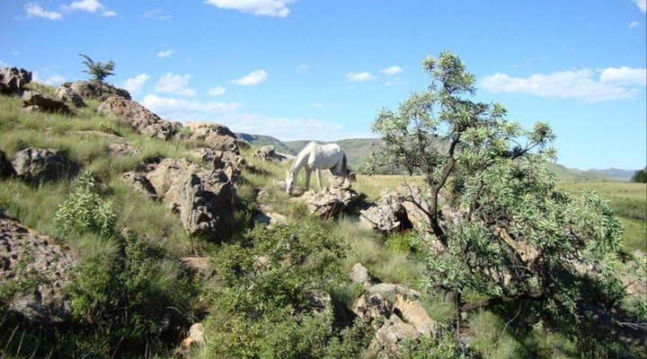 St Bernard's Peak Mountain Lodge