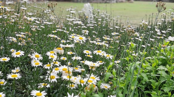 Annelie's Bed and Breakfast